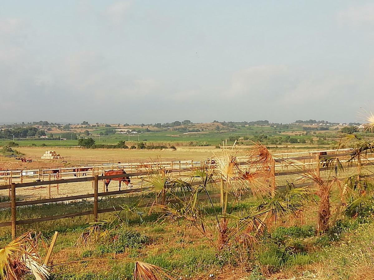Domaine De La Vidalle Vendres Buitenkant foto